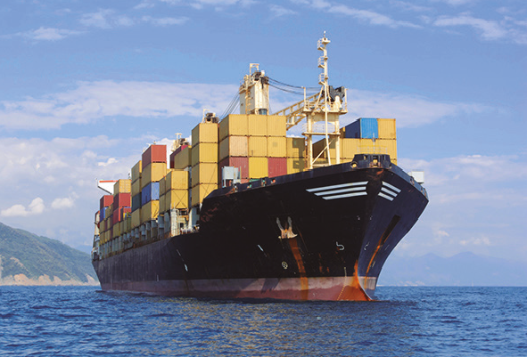 Desarrollo Portuario y de terminal de Carga